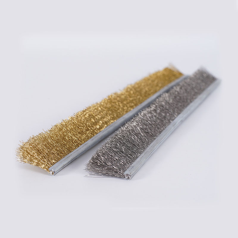 Wire strip brush for seal